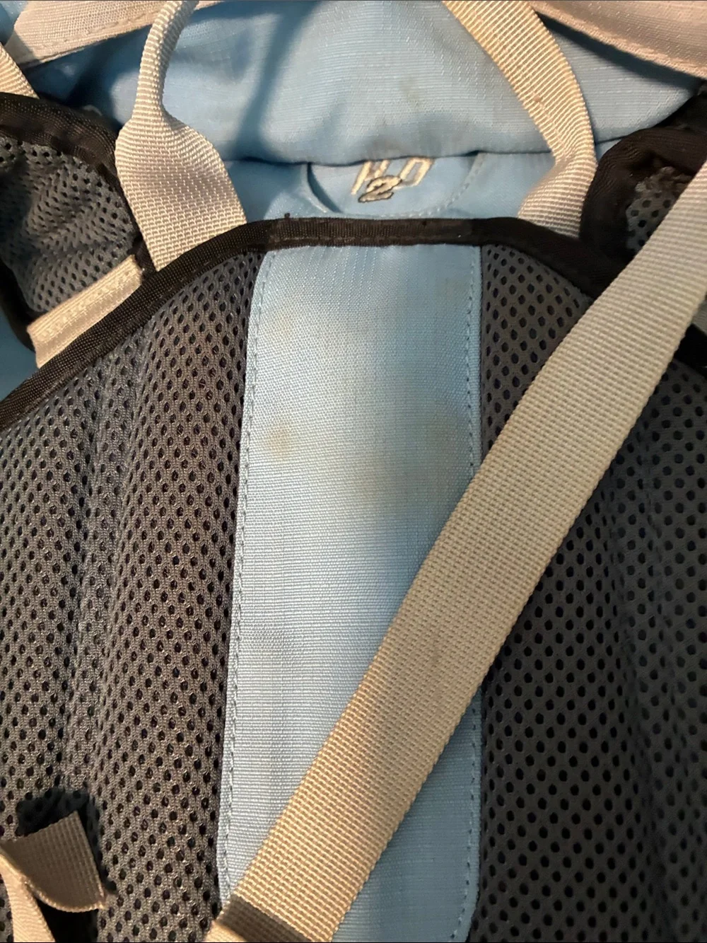 L.L. Bean Light Blue and Gray Women's Daypack